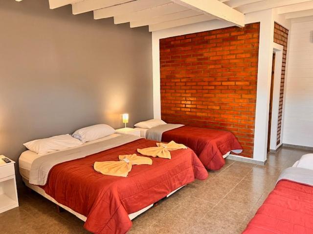 פוארטו איגואסו Alma Pura Hotel מראה חיצוני תמונה